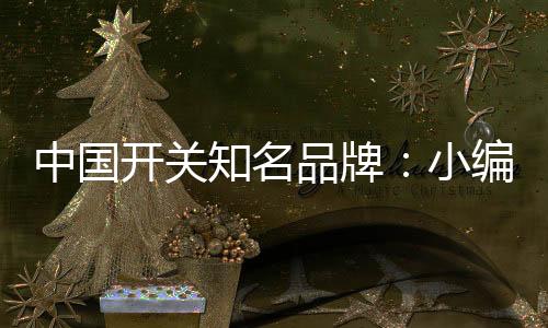 大家在购买开关插座时