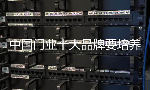 面对海 外品牌的中国冲击