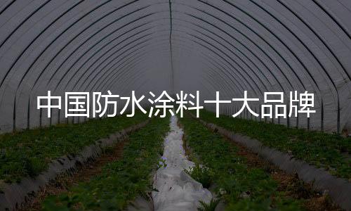 防水若常规清理不行的涂料话