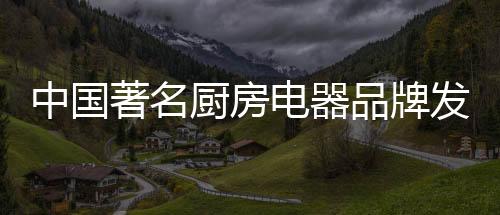 电器点对于厨房电器企业而言