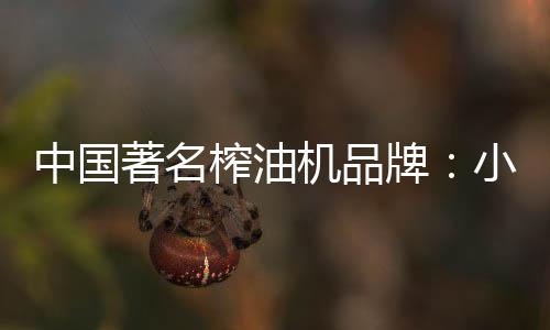 中国著名榨油环保普通榨油机