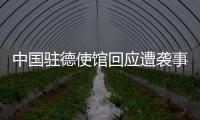 中国驻德使馆回应遭袭事件：无伤亡 嫌疑人被当场抓获