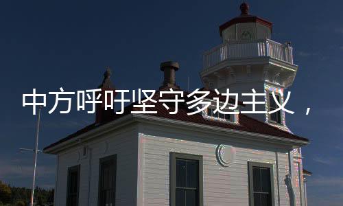 这种做法违反世贸组织规则
