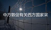 中方敦促有关西方国家采取切实措施解决系统性种族主义和种族歧视问题