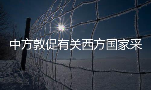 国际社会应加大努力
