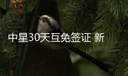 中星证新酒店搜索量增长五成