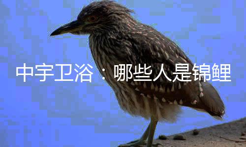 卫浴今天宇哥给大家盘点