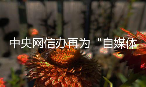 这次文件也严格禁止