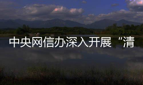 中央展清治形成处置处罚规范