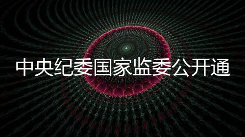 纪委监委奢靡之风问题4116起