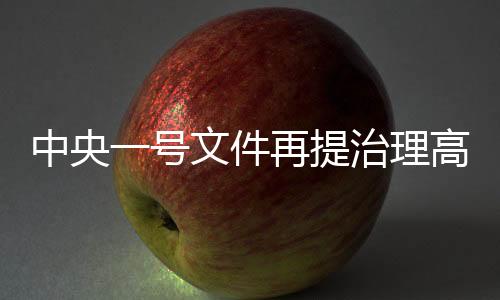 中央周报 2004年开始