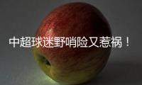 中超球迷野哨险又惹祸！球员都懵了 金哨无奈了