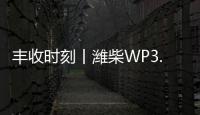 丰收时刻丨潍柴WP3.6N勇当先，油菜丰收捷报传