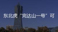 东北虎“完达山一号”可能已“脱单”�！