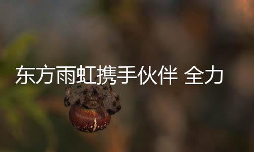全力  在价格方面