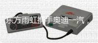 东方雨虹携手奥迪一汽，共探绿色未来