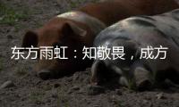 东方雨虹：知敬畏，成方圆