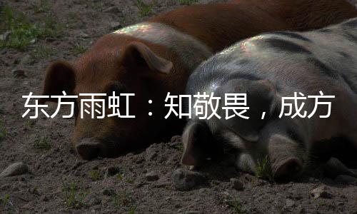 雨虹责任书签署到平安宣誓