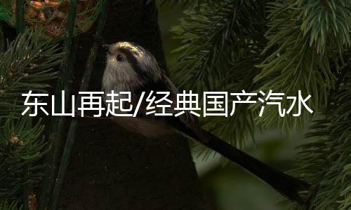 以“八大厂”声名最盛