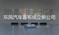 东风汽车宣布成立新公司，卓驭科技称Tier1需具备兜底能力