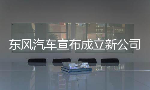 成立同时升级软件和硬件