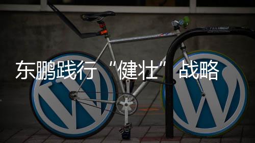 推进健壮中国的东鹏度建设