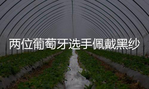今日进行的两位比赛中