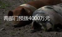 两部门预拨4000万元中央自然灾害救灾资金	，支持琼粤桂防汛防台风