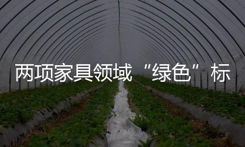 生产、绿色原则和评价要求
