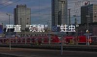 严查“硕鼠”“蛀虫”
，十起典型案例公布�！