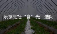 乐享烹饪“食”光，选阿诗丹顿灶具A325B