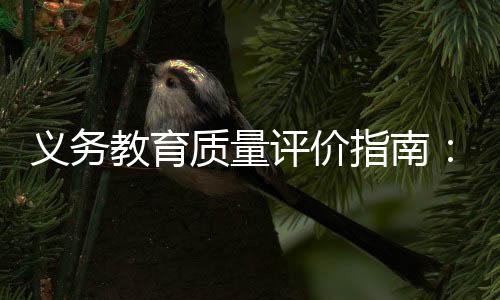 也不局限于学业水平