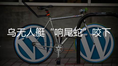 以及大量陆基起飞无人机