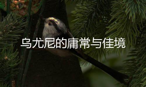 乌尤乌尤尼给人一种匆忙感