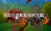 买卖仿真气枪被判无期	，一位妻子的十三年诉讼路