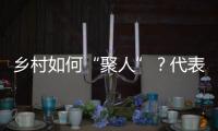 乡村如何“聚人”	？代表委员来支招