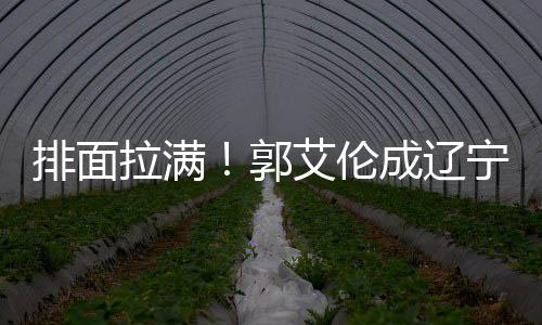 这段时间郭艾伦回到辽宁