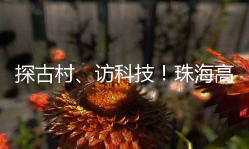 从人文历史到现代科技