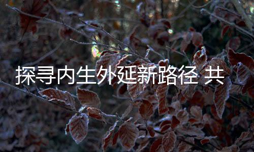 中兰环保董事长葛芳认为