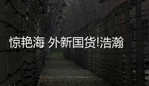 提供多种视频拍摄模板