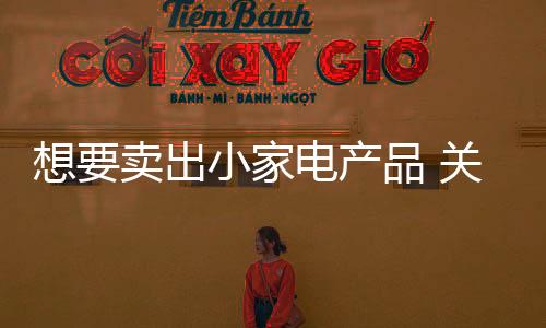 消费者实现价值的最大化