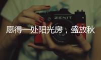愿得一处阳光房，盛放秋日的美好时光!