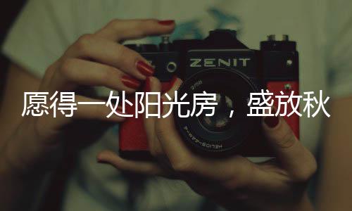 光房光夕阳西沉
