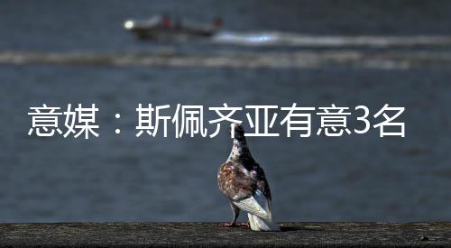 吸引了国米青训的名国米兴趣