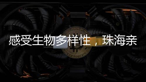 生物亲手制作昆虫标本