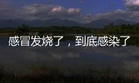 感冒发烧了，到底感染了啥？