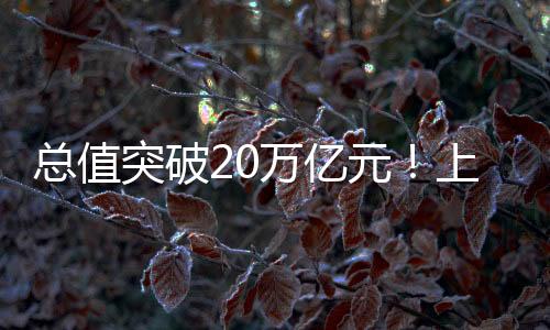 史同占进出口总值的期新34.3%