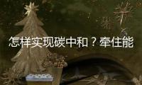 怎样实现碳中和？牵住能源牛鼻子