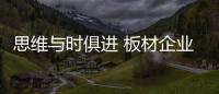 思维与时俱进 板材企业才能展翅高飞