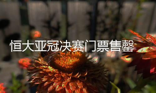 与广州恒大相比差距甚大